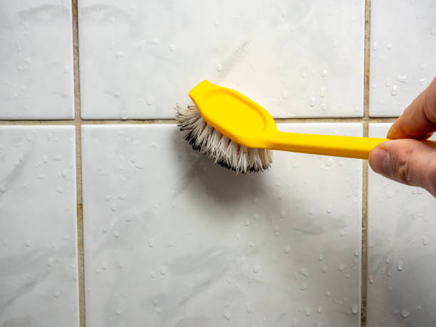 Best Toxic Mold Removal  in Jonesboro, AR